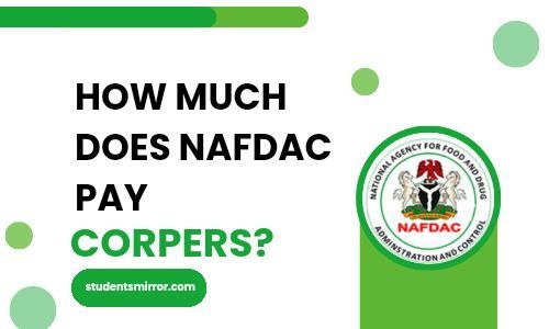 How Much Does INEC Pay Corpers Image