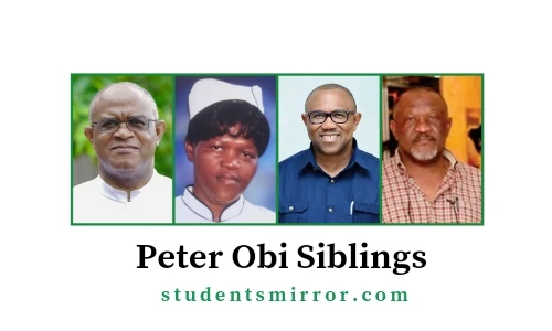 Peter Obi Siblings: What You Should Know